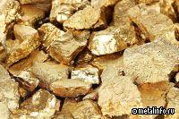 Polymetal категорически против продажи своих российских активов по частям