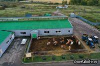 О реализованных проектах ИНСИ в агропромышленном секторе