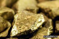 Минпромторг подал иск к иностранному акционеру золотодобытчика «Хайленд голд»