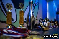 Кто завладеет стальной кеглей в 2024 году?