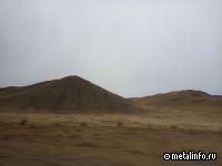 Т Плюс и Менделеевский инжиниринговый центр изучат возможность получения биотоплива из торфа