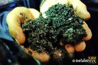 Первая партия угля марки Ж реализована на СПбМТСБ