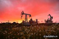 Предприятия ТЭК в настоящее время активно развивают логистическую инфраструктуру