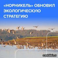 Норникель расширил экологическую стратегию и добавил 54 инициативы
