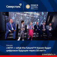 В IT-сфере для Северстали приоритетной задачей является обеспечение технологической независимости