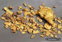 Чукотка увеличила добычу золота в 2023 г.