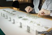 Оценка запасов АЛРОСА за полтора года выросла в 1,6 раза, до 149 млрд рублей