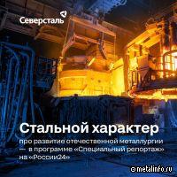 «Россия 24» о развитии металлургии в России (видео)
