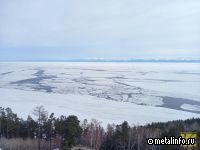 Эксперты призвали создать международный Арктический павильон на COP-31 для усиления диалога по климату