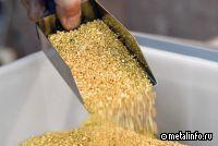 Южуралзолото утвердило план повышения капитализации