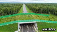 Первый на Кузбассе экодук будет построен в рамках Северо-Западного обхода Кемерова
