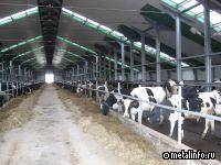 Северсталь Стальные Решения представили металлоконструкции для сельского хозяйства