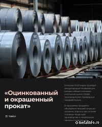 Баланс производства и потребления проката с покрытиями в условиях турбулентности