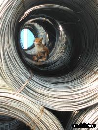 На базе «ДиПОС-Москва» продолжается строительство нового производственного корпуса